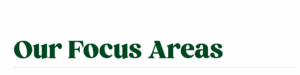 Focus_Areas
